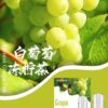 【現貨優惠】SP2S煙彈 滿5盒一盒280 | 透明彈一盒三入/正品保證 - TNT玩家糖果屋 - Thumbnail Image 31